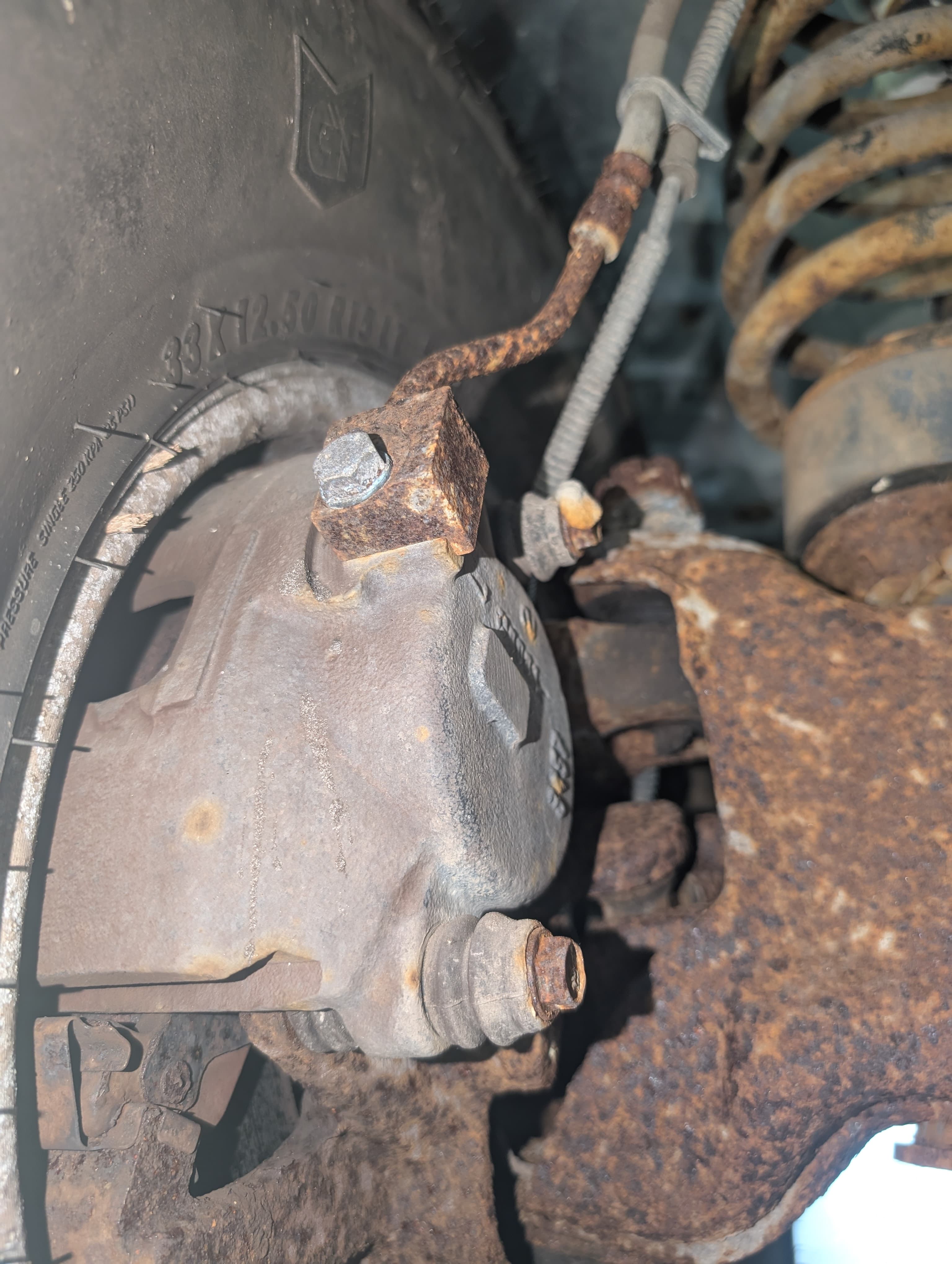 Brake caliper and suspension spring inspection