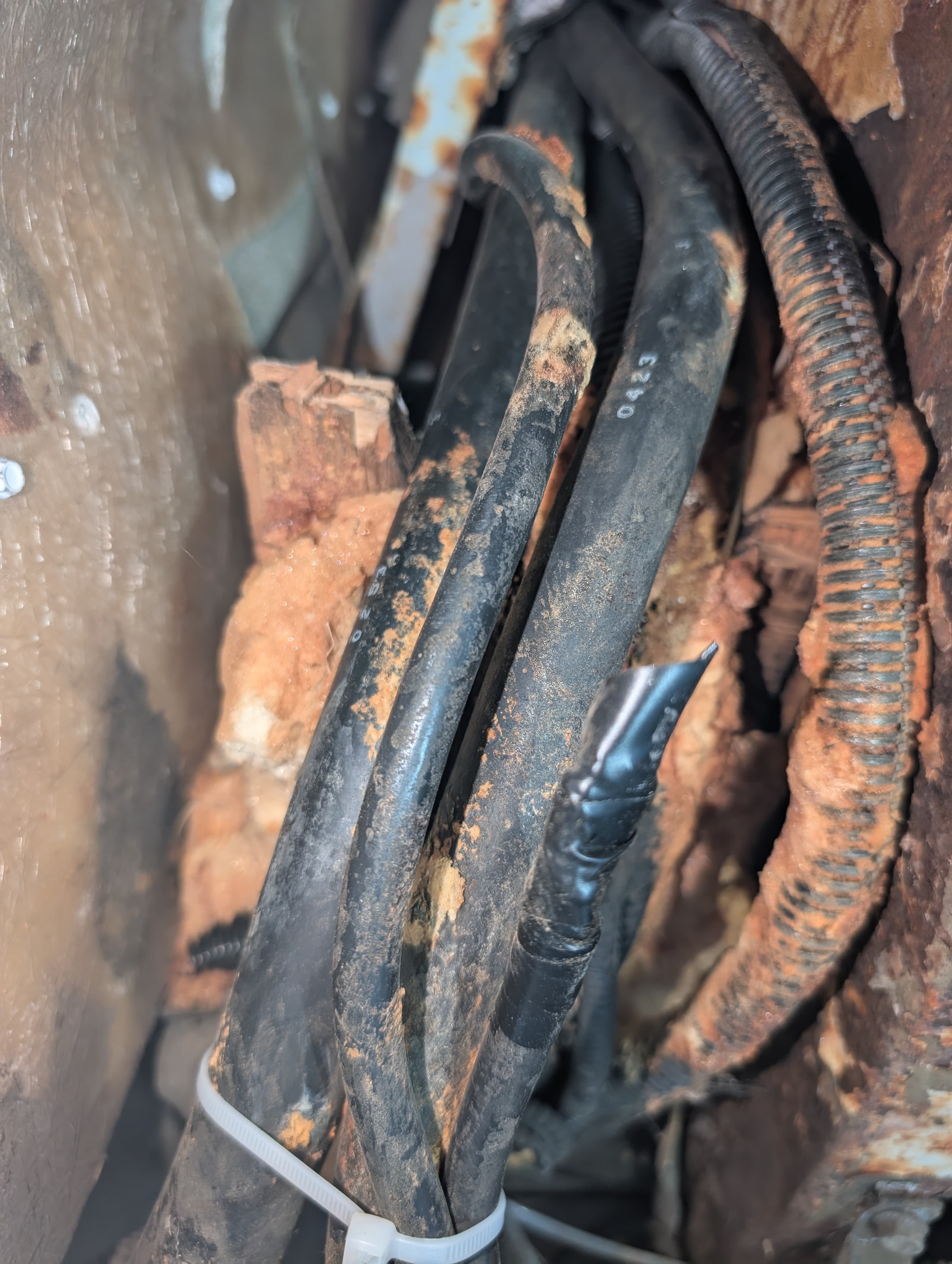 Corroded brake lines and hoses needing replacement